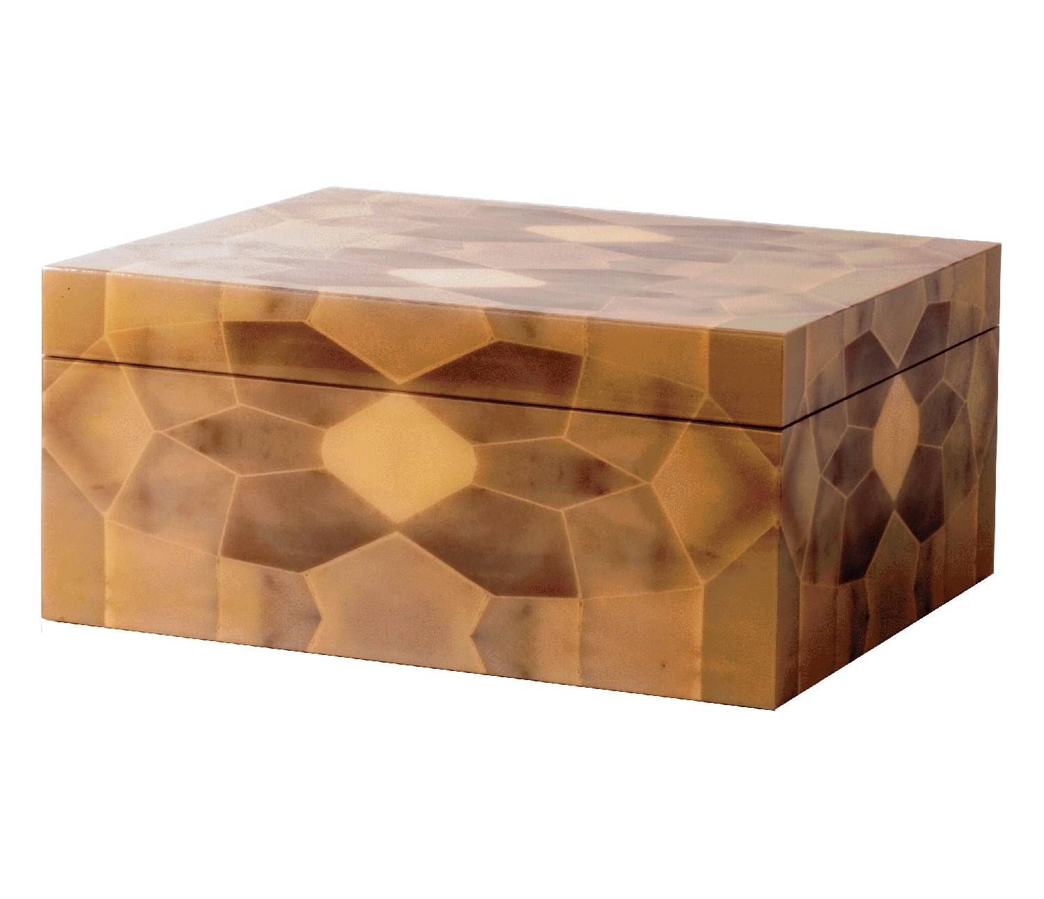 T Rex Fountain Pen Box